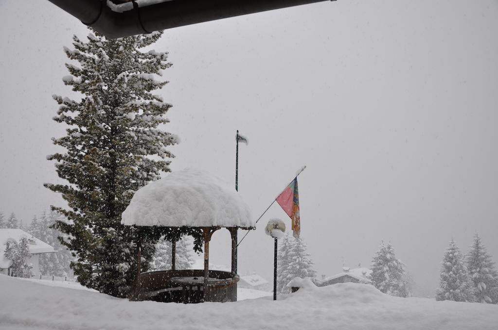 Hotel Roma San Vito di Cadore Luaran gambar